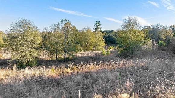 5.13 Acres of Residential Land for Sale in DeRidder, Louisiana