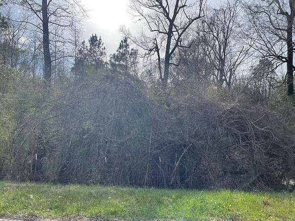 30 Acres of Recreational Land for Sale in Osyka, Mississippi