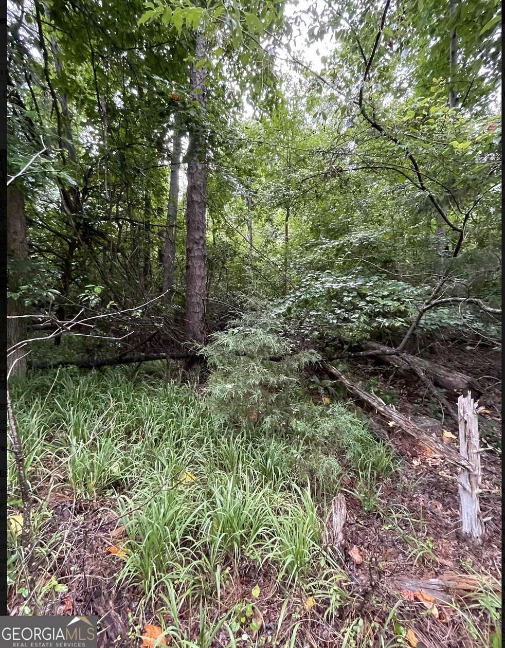 0.2 Acres of Land for Sale in Lavonia, Georgia