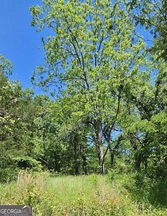 0.43 Acres of Residential Land for Sale in Greensboro, Georgia