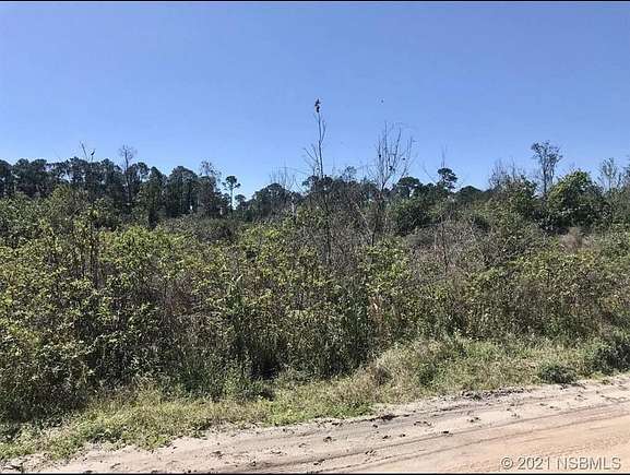 2.5 Acres of Residential Land for Sale in New Smyrna Beach, Florida