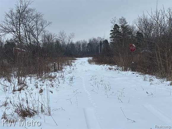 3.99 Acres of Residential Land for Sale in Mount Morris, Michigan