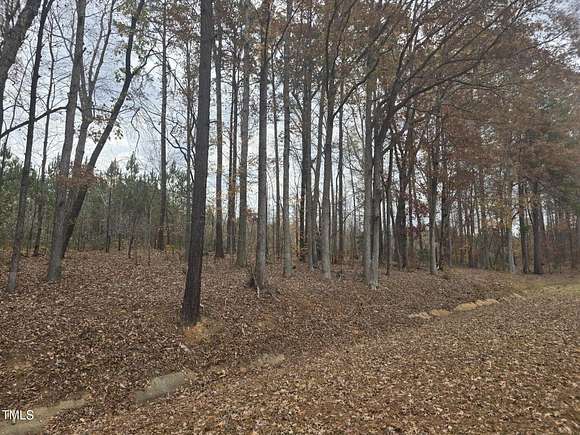 39.54 Acres of Recreational Land for Sale in Zebulon, North Carolina