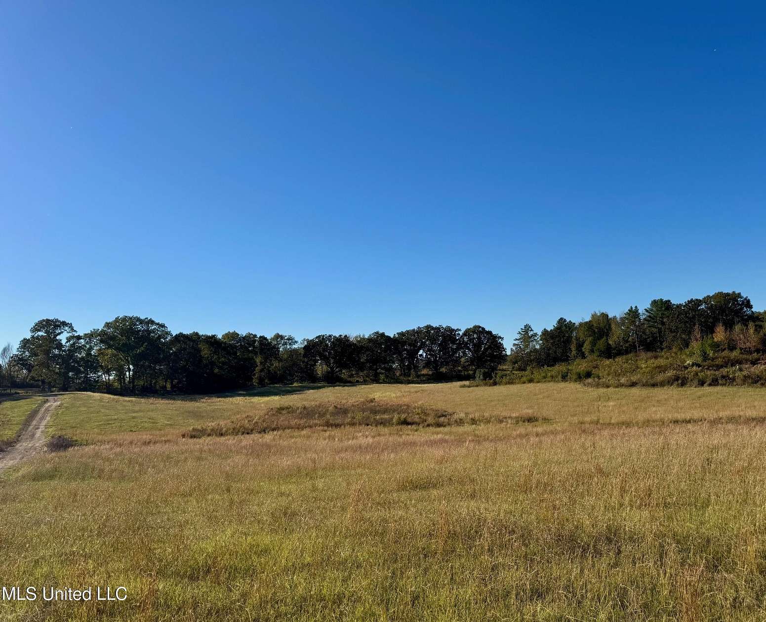 75 Acres of Agricultural Land for Sale in Bruce, Mississippi