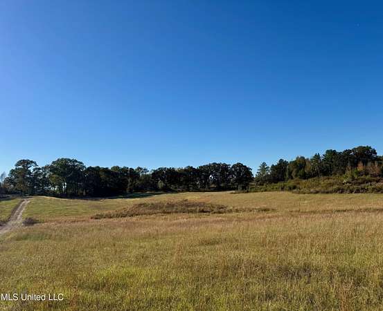 75 Acres of Agricultural Land for Sale in Bruce, Mississippi