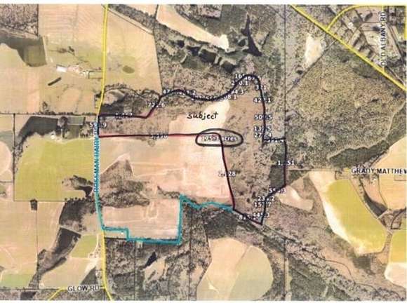 175 Acres of Recreational Land for Sale in Moultrie, Georgia