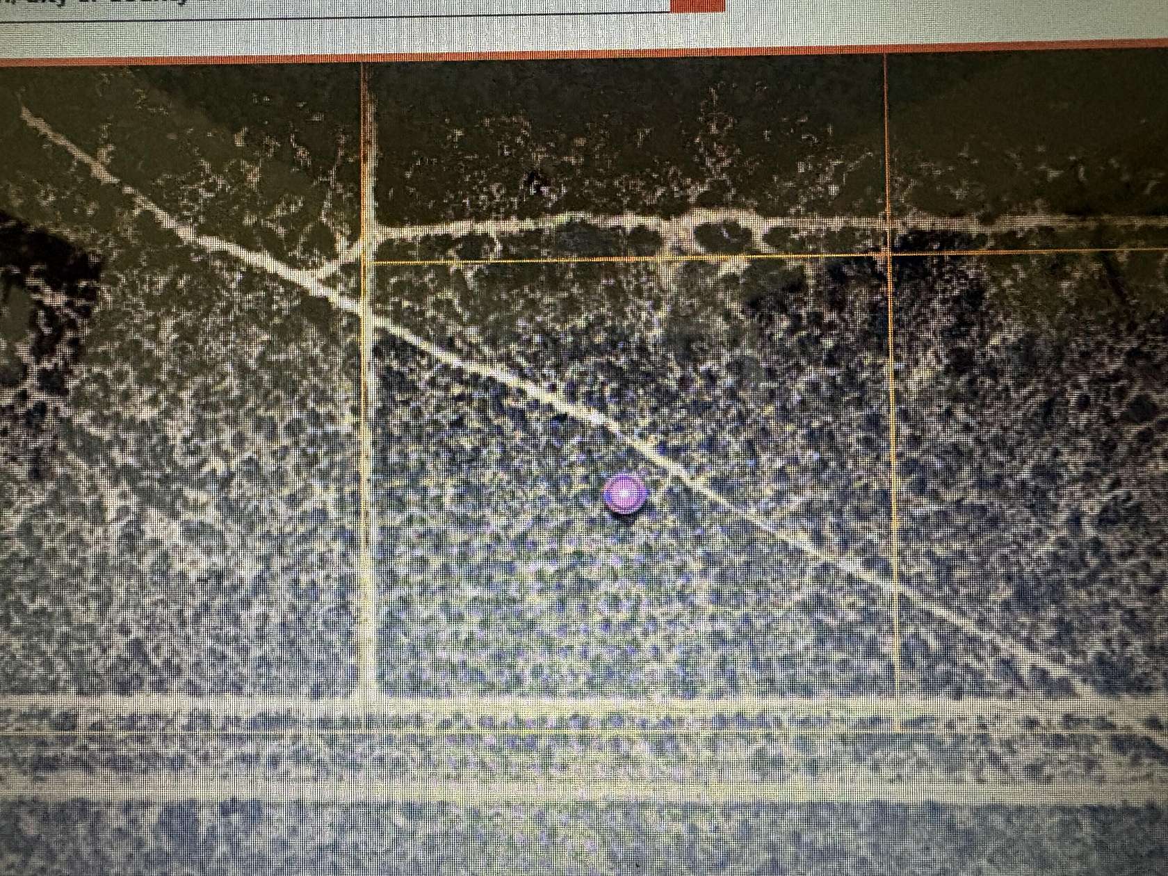 Land for Sale in Mojave, California