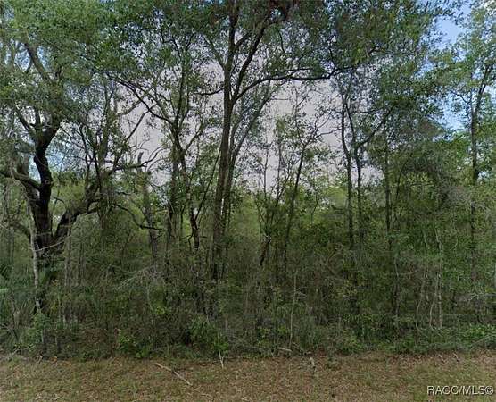 0.28 Acres of Residential Land for Sale in Dunnellon, Florida