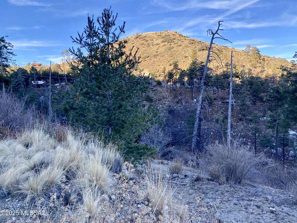 0.14 Acres of Land for Sale in Tucson, Arizona
