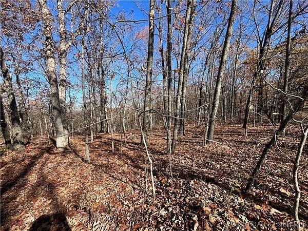 0.19 Acres of Land for Sale in Rocky Mount, Missouri