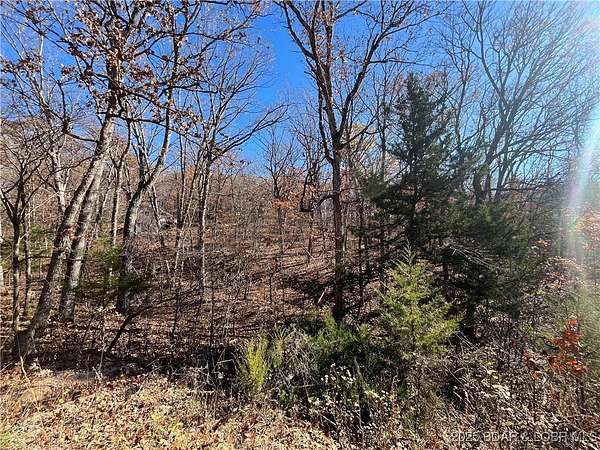 0.17 Acres of Land for Sale in Rocky Mount, Missouri