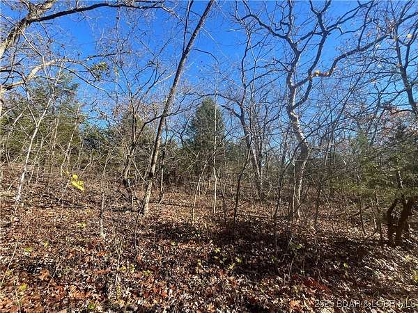 0.2 Acres of Land for Sale in Rocky Mount, Missouri