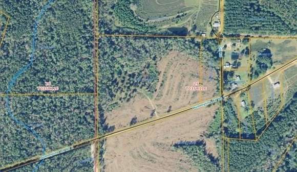 22 Acres of Land for Sale in Franklinton, Louisiana