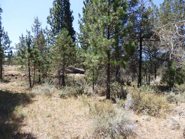 1.18 Acres of Land for Sale in Lookout, California