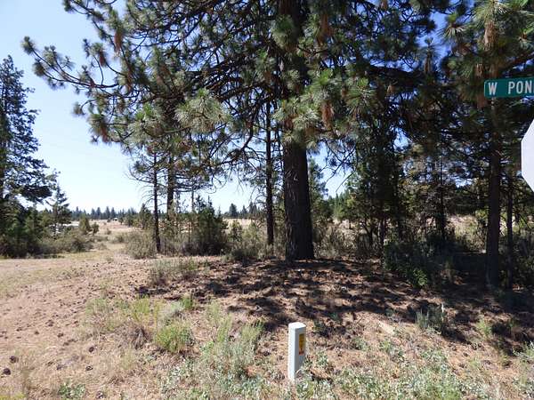 1.44 Acres of Land for Sale in Lookout, California