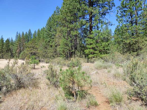 1.55 Acres of Land for Sale in Lookout, California