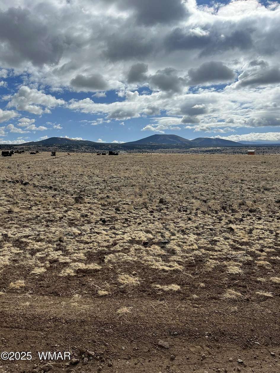 1.77 Acres of Land for Sale in Concho, Arizona