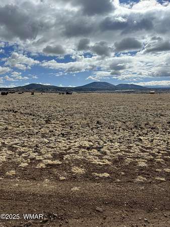 1.77 Acres of Land for Sale in Concho, Arizona