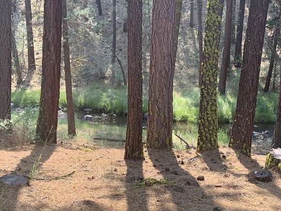 2.81 Acres of Residential Land with Home for Sale in Bieber, California