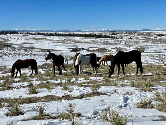 110 Acres of Improved Recreational Land for Sale in Parker, Colorado