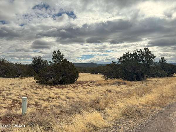 1.5 Acres of Residential Land for Sale in Vernon, Arizona