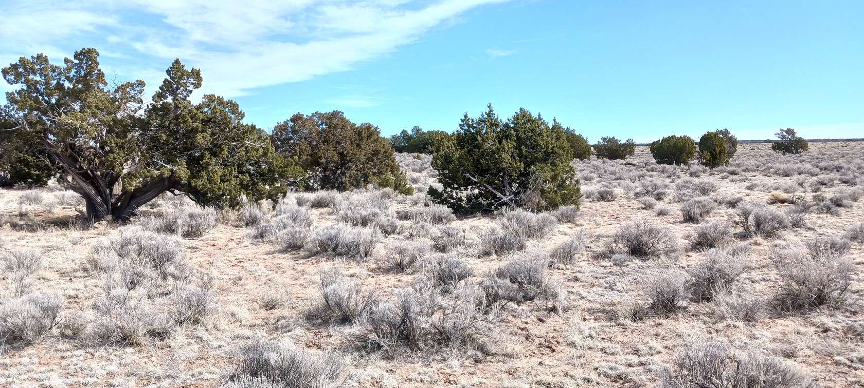 1 Acre of Residential Land for Sale in Sanders, Arizona
