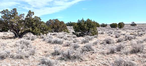 1.02 Acres of Residential Land for Sale in Sanders, Arizona