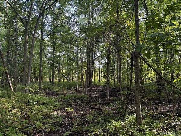 11 Acres of Land for Sale in Attica, Michigan