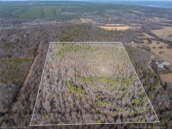 30 Acres of Recreational Land for Sale in Delaware, Arkansas