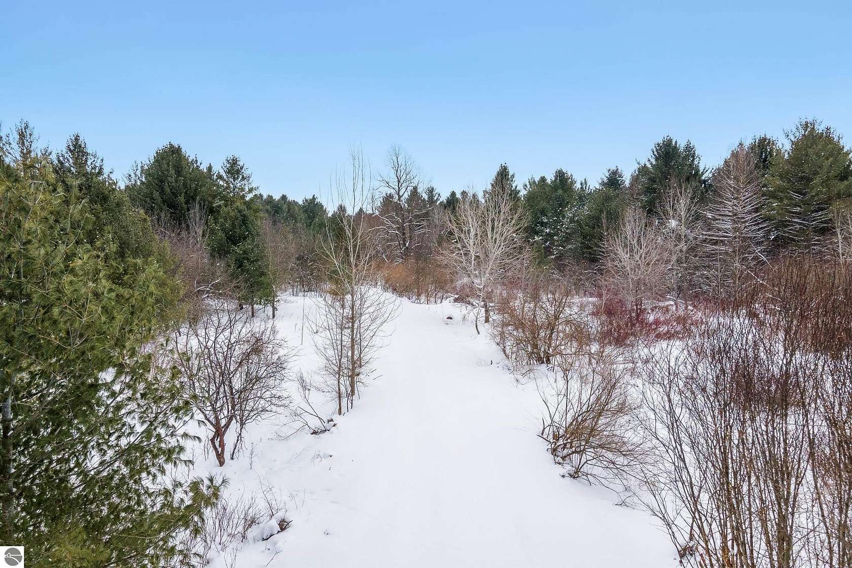 77 Acres of Recreational & Residential Land for Sale in Bellaire, Michigan