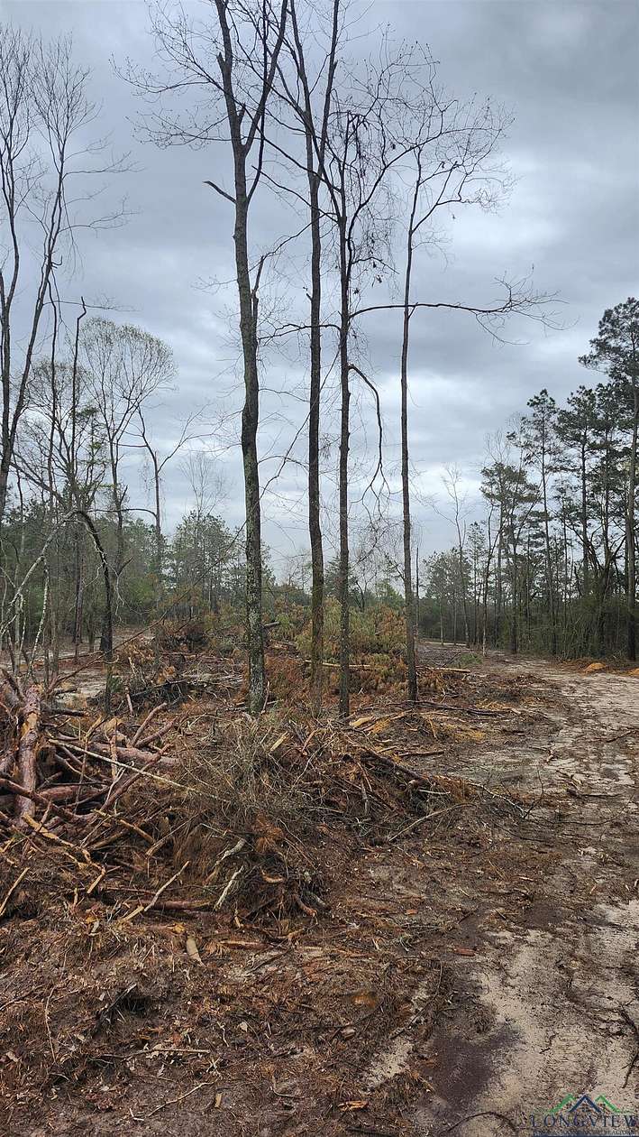 5.3 Acres of Land for Sale in Timpson, Texas