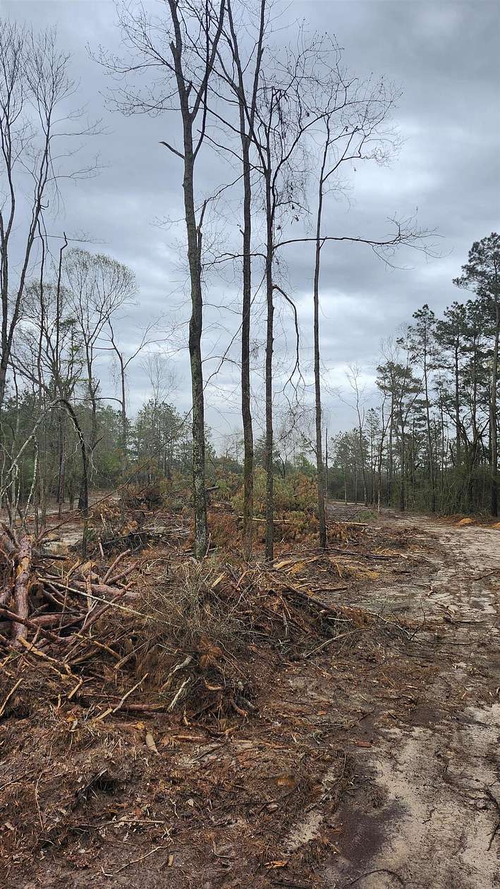 5.3 Acres of Land for Sale in Timpson, Texas