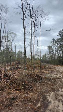 5.3 Acres of Land for Sale in Timpson, Texas