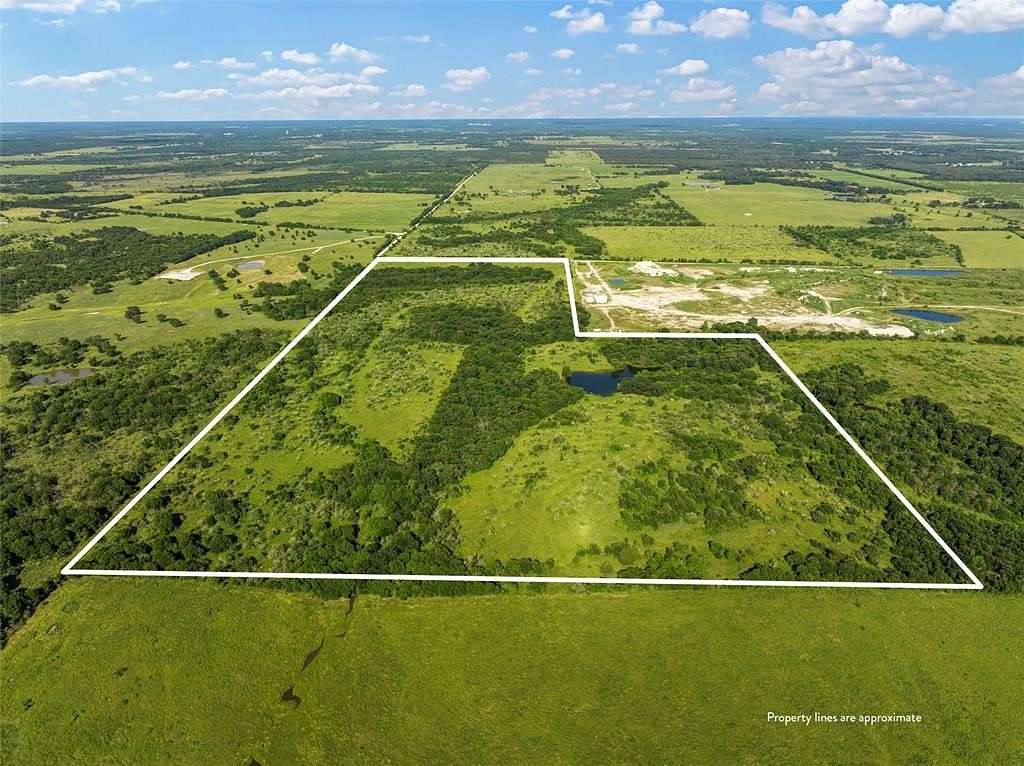 81.7 Acres of Recreational Land for Sale in Tehuacana, Texas
