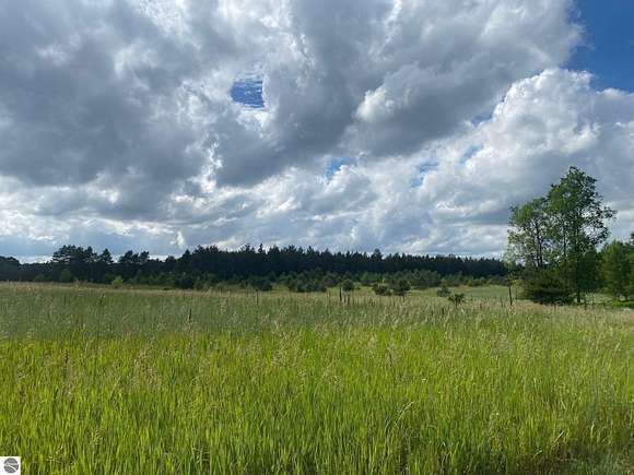 18.9 Acres of Recreational Land for Sale in Cadillac, Michigan