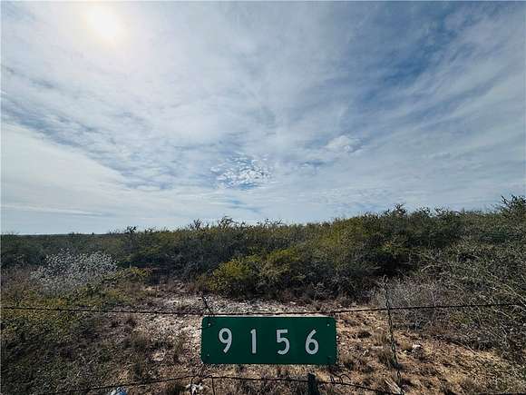 50.18 Acres of Recreational Land & Farm for Sale in Freer, Texas