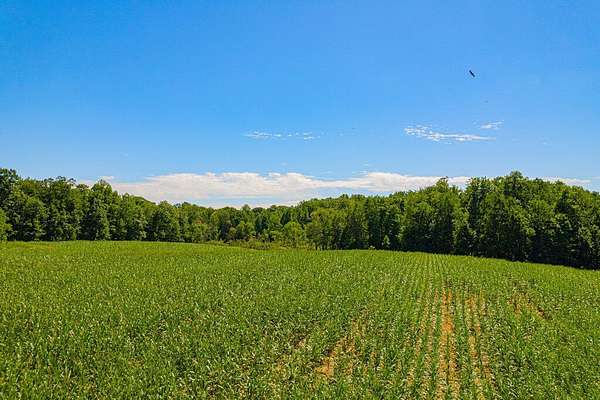 63.5 Acres of Land for Sale in Buchanan, Michigan