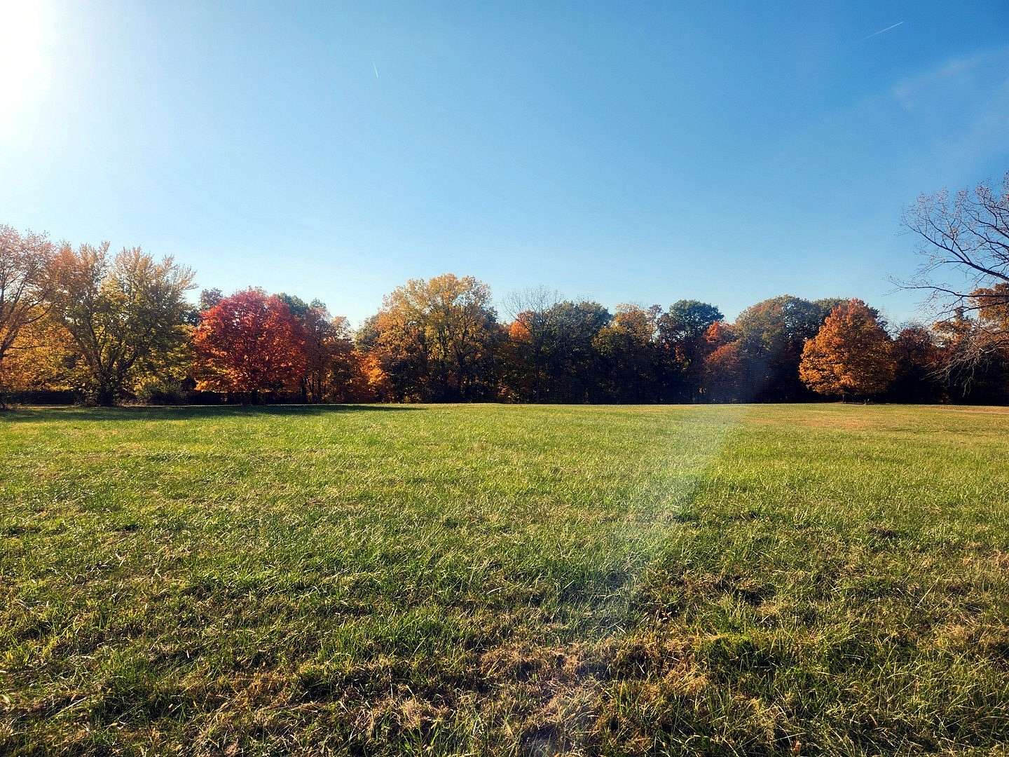Land for Sale in Varna, Illinois