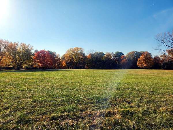 Land for Sale in Varna, Illinois