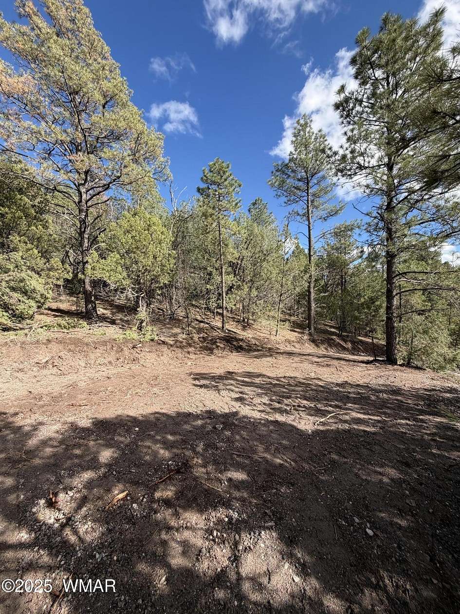 1 Acre of Residential Land for Sale in Nutrioso, Arizona
