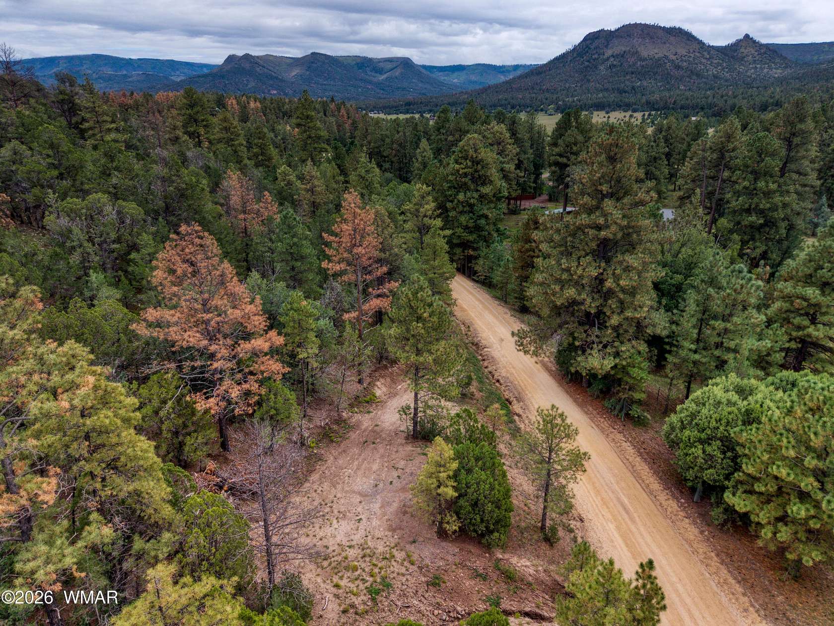 1 Acre of Residential Land for Sale in Nutrioso, Arizona