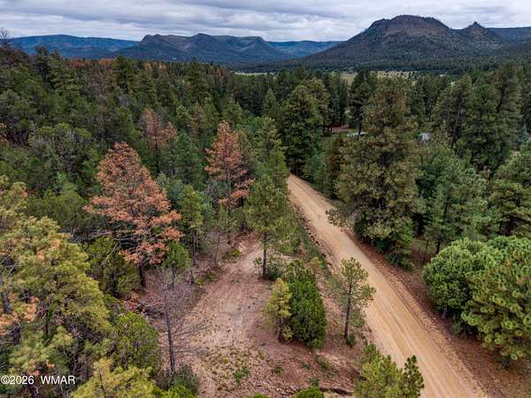 1 Acre of Residential Land for Sale in Nutrioso, Arizona