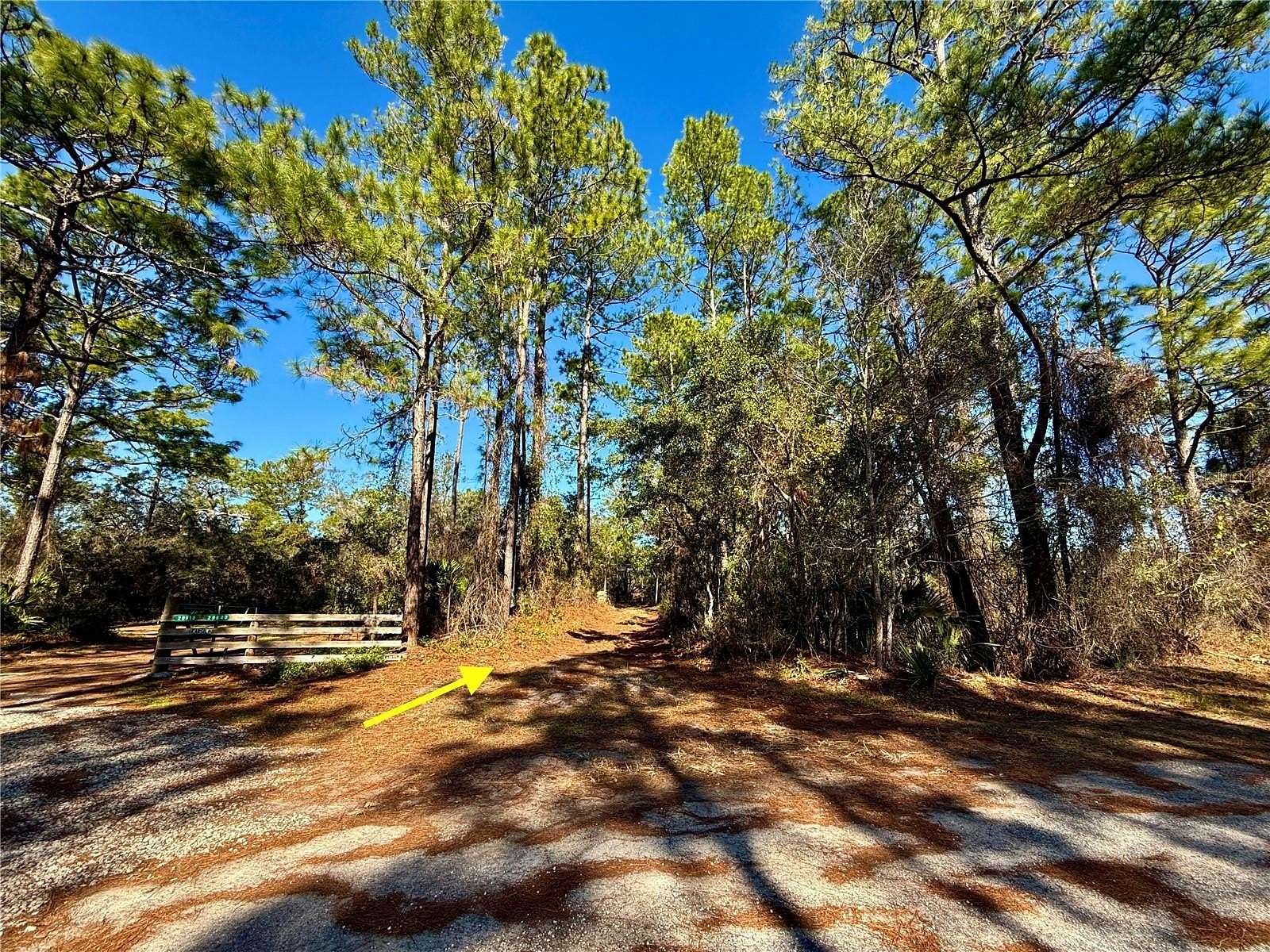 20.2 Acres of Land with Home for Sale in Paisley, Florida