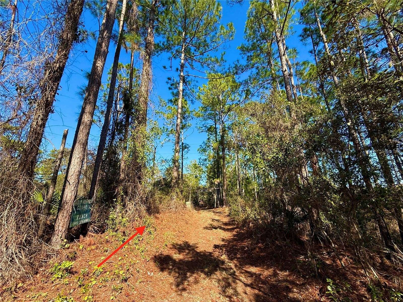 20.2 Acres of Land with Home for Sale in Paisley, Florida