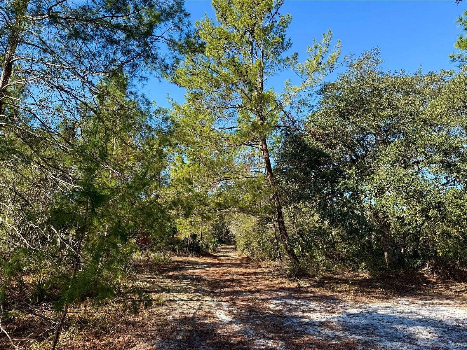 20.2 Acres of Land with Home for Sale in Paisley, Florida