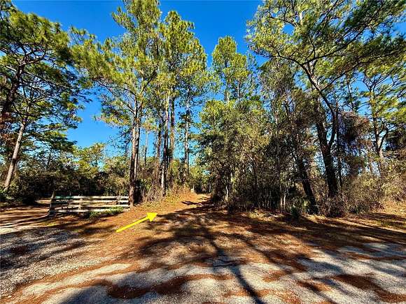 20.18 Acres of Land with Home for Sale in Paisley, Florida