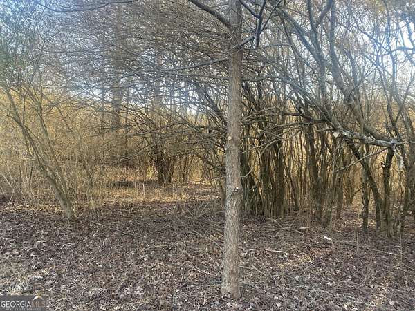 1 Acre of Residential Land for Sale in Demorest, Georgia