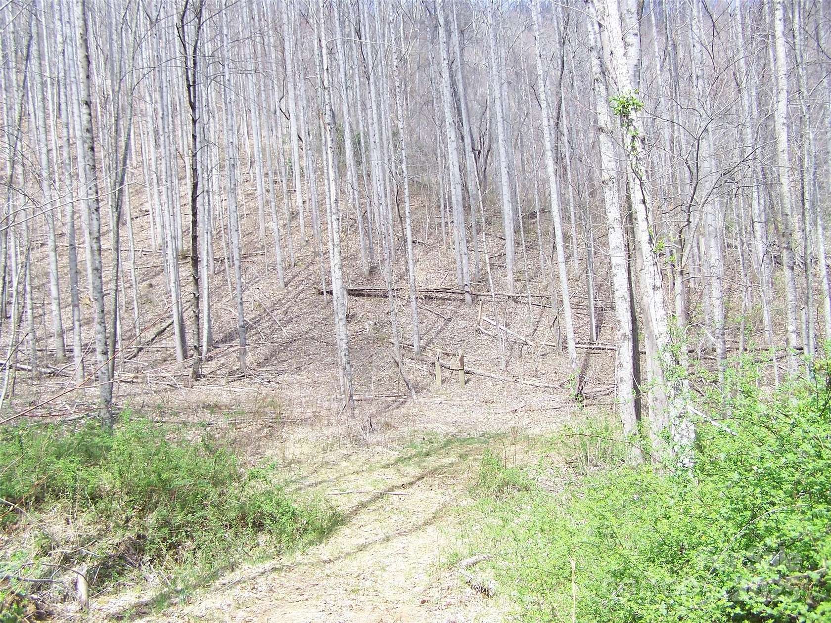39.4 Acres of Recreational Land for Sale in Waynesville, North Carolina