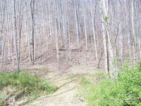39.4 Acres of Recreational Land for Sale in Waynesville, North Carolina