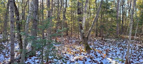 1.2 Acres of Land for Sale in Ocqueoc, Michigan